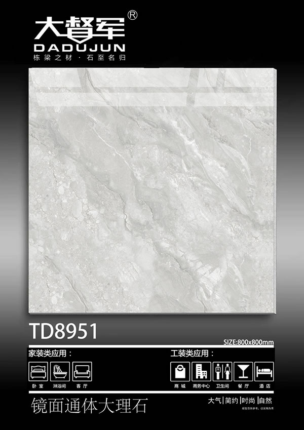 TD8951
